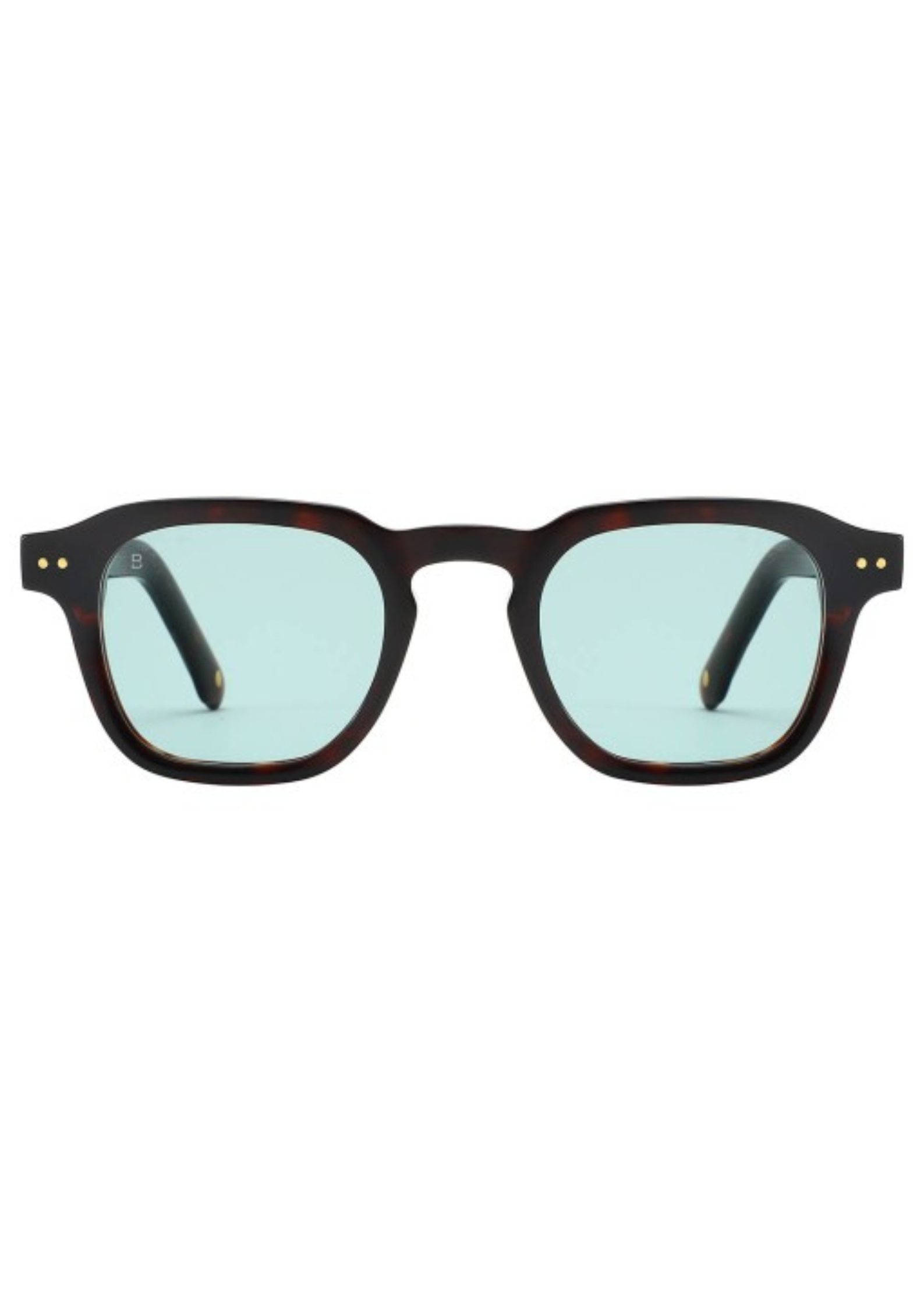 BALI River – Lunettes de soleil homme en acétate écaille verres bleu