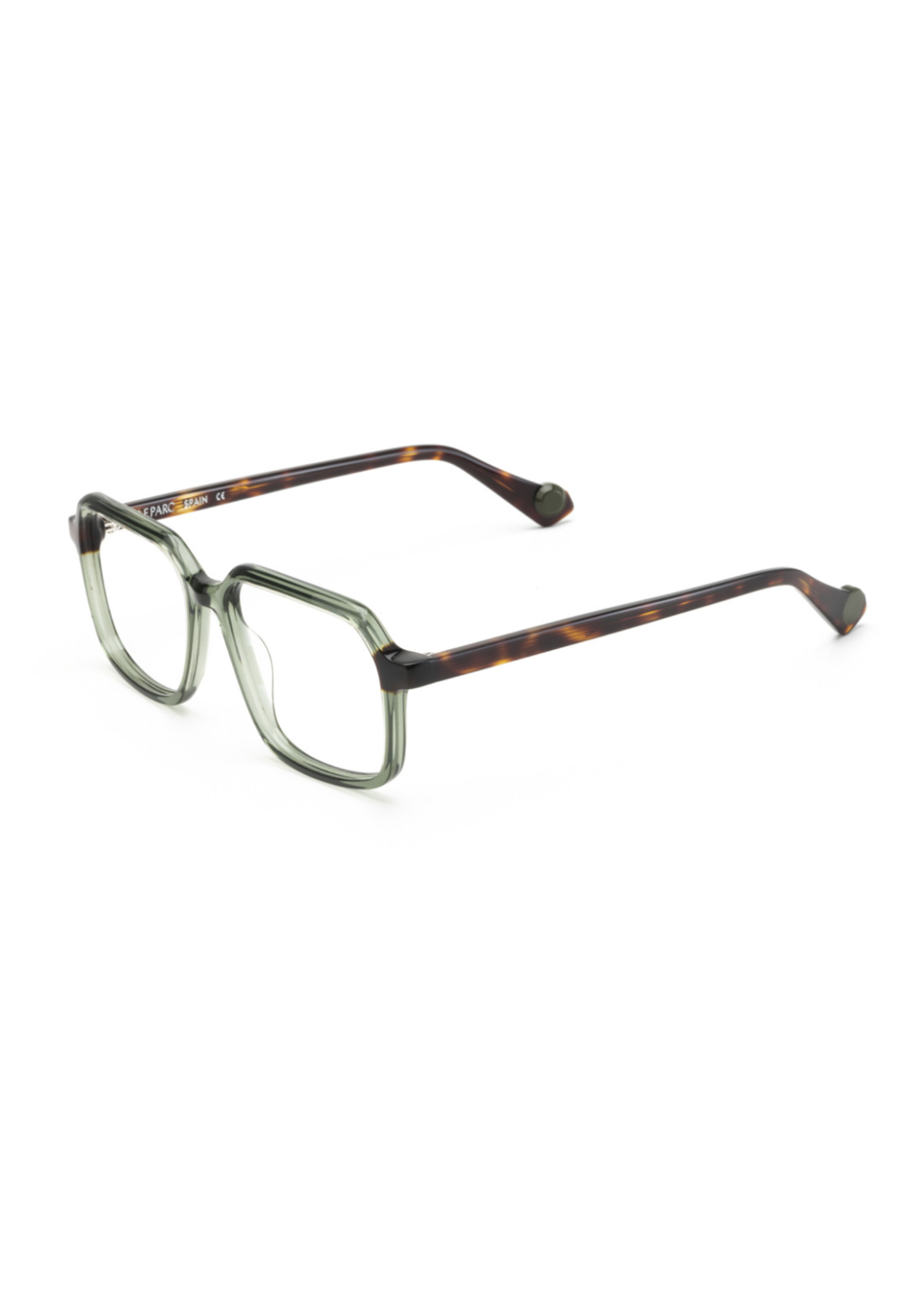 LE PARC – Paxton | Lunettes de vue homme Cristal vert branche écaille