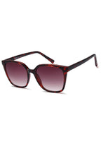 IKALY SP4305 – Lunettes de soleil femme écaille & verres bruns