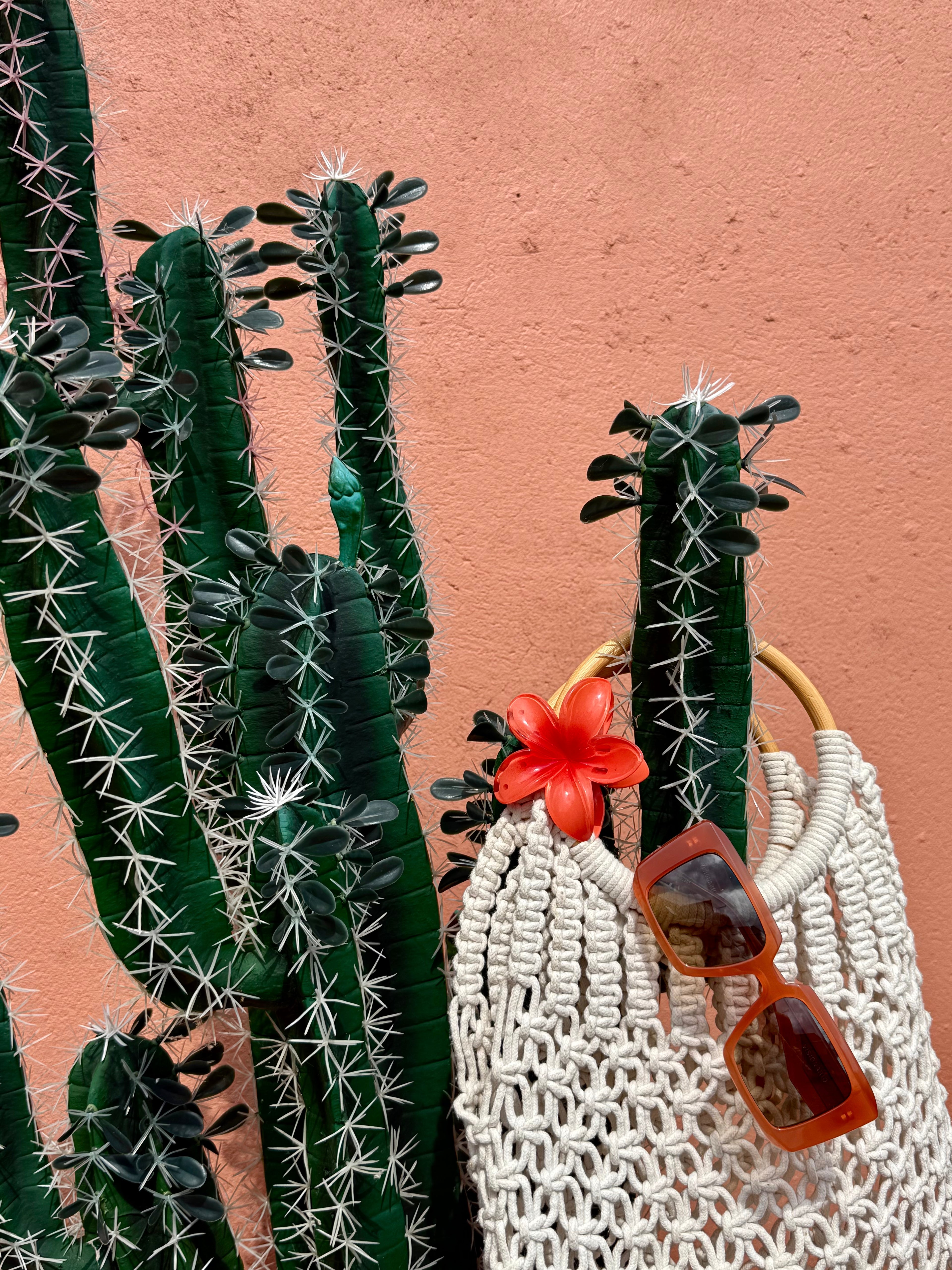 VISIONARIO Vergara – Lunettes de soleil femme orange
