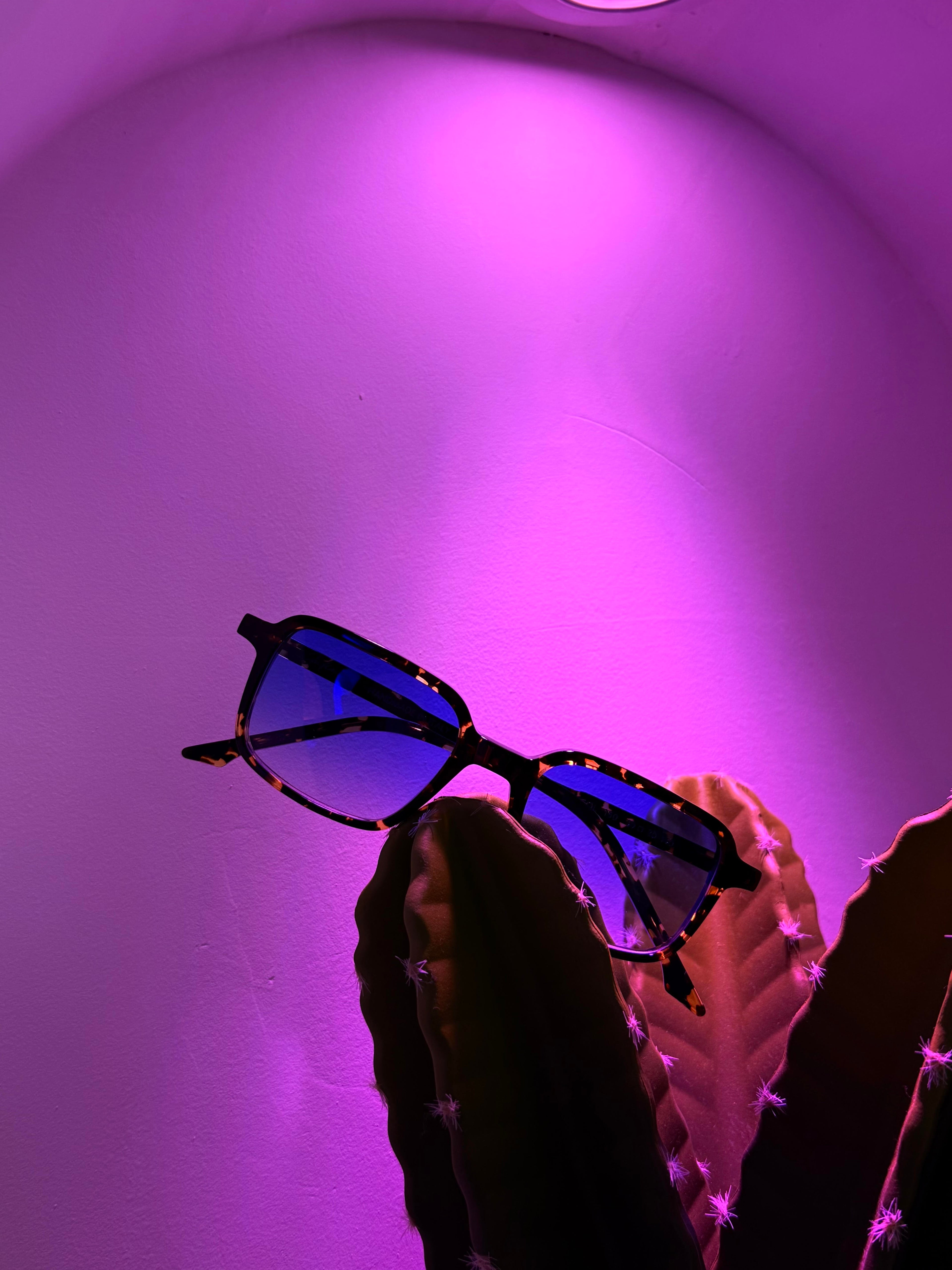 LA PEPSI – Lunettes de soleil écaille | JULIENNE